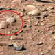 Is that a squirrel on Mars? Or merely an illusion?